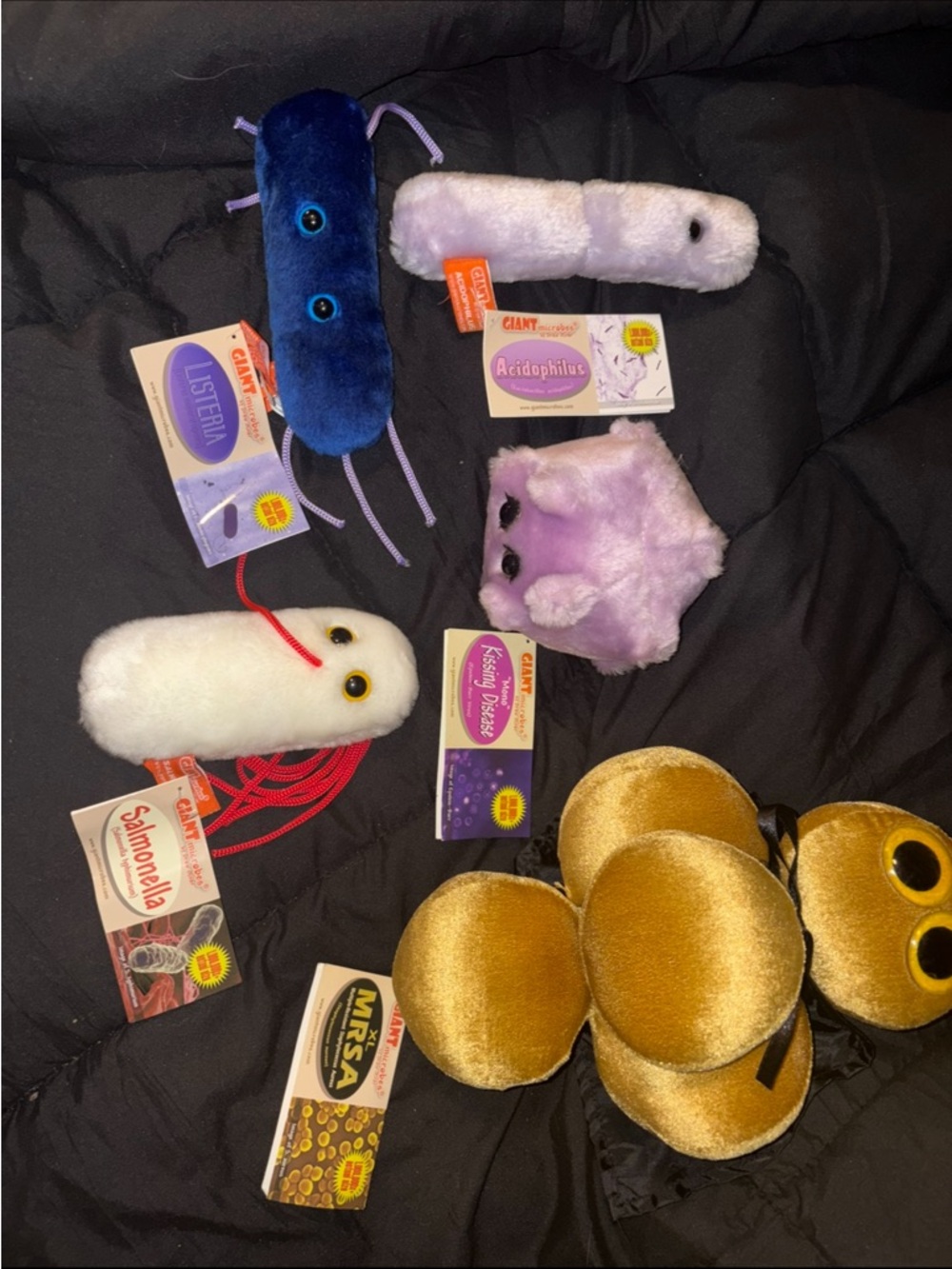 Giant Microbes Plush Toy Bundle - Assorted Colors